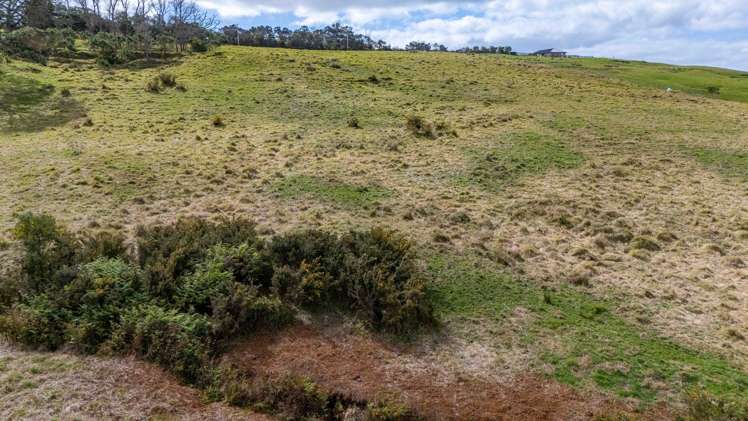 164 Tahanga Road Lake Ohia_14