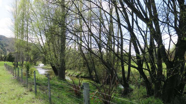 3957 Northbank Road Wairau Valley_11