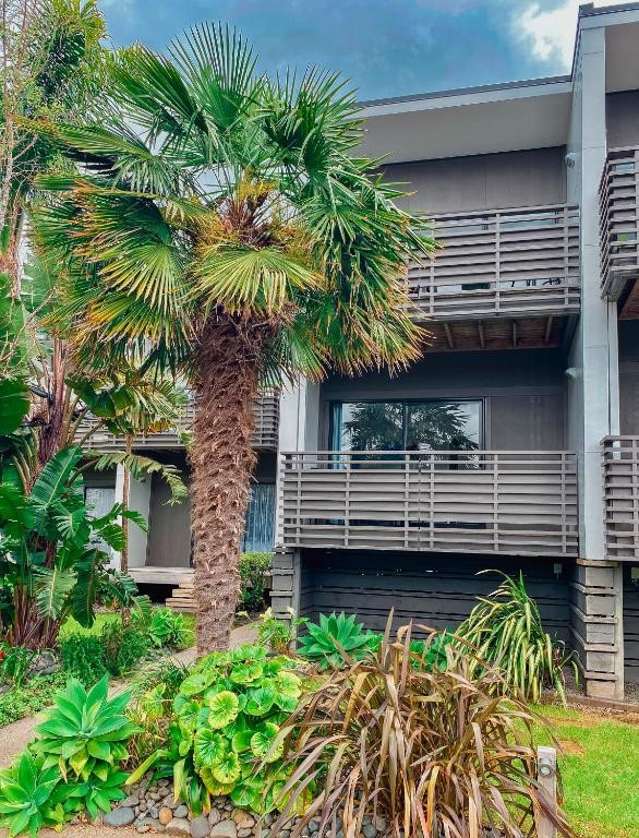 46/1 Centennial Drive, Whitianga