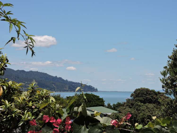 13 Otuturu Crescent Thames_24