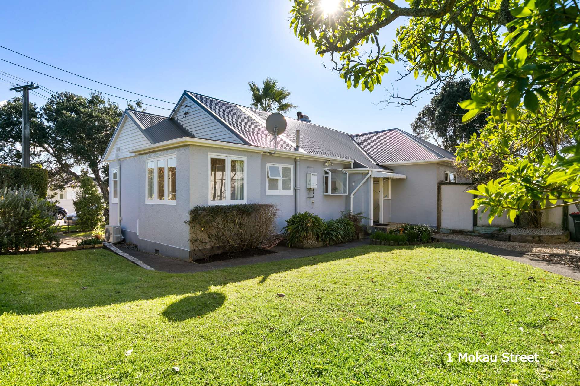 3 Mokau Street Ponsonby_0