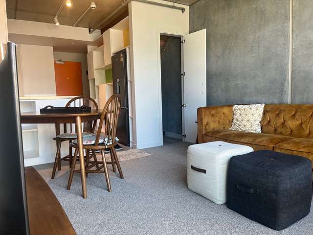 104/28 Martin Square Te Aro_1