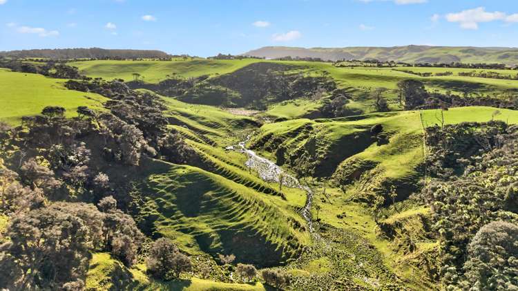 55 Coster Road Muriwai_13