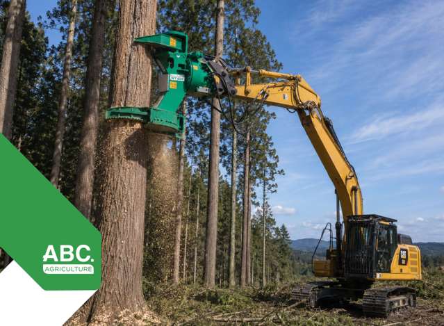 Asset-Backed Tree Contracting Business