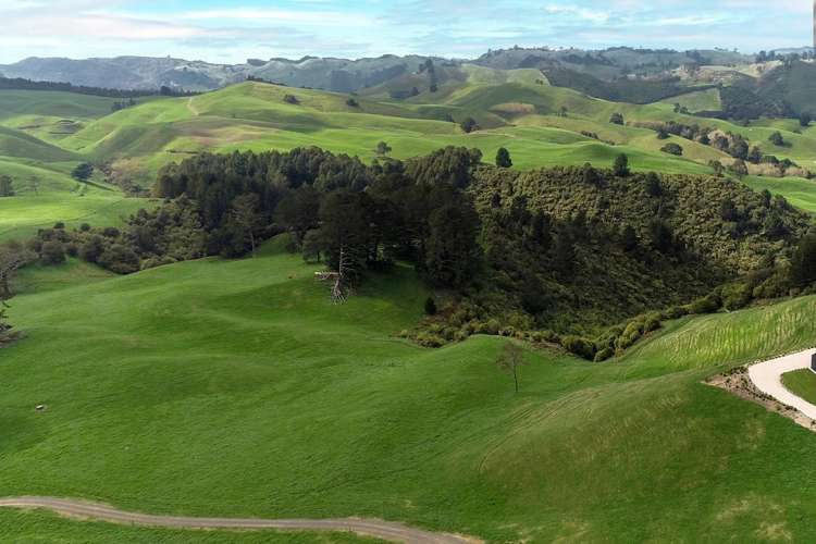 494B Dods Road Waikite Valley_14