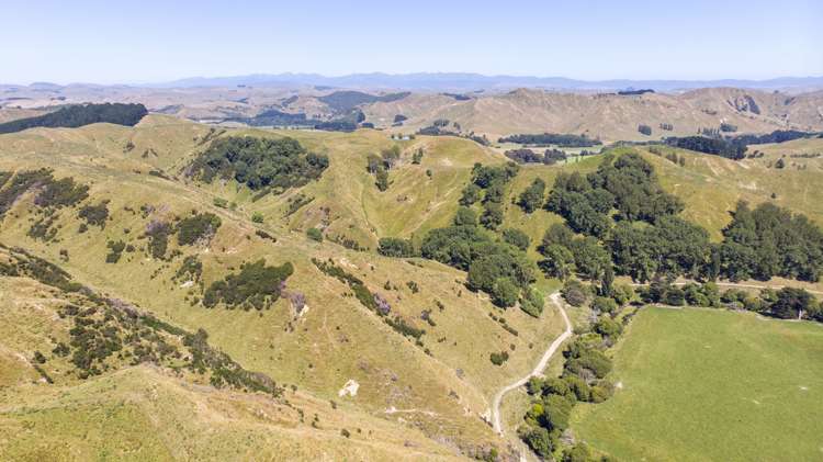 14781 Route 52 Eketahuna_9