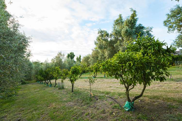 162 Lane Road Havelock North_12