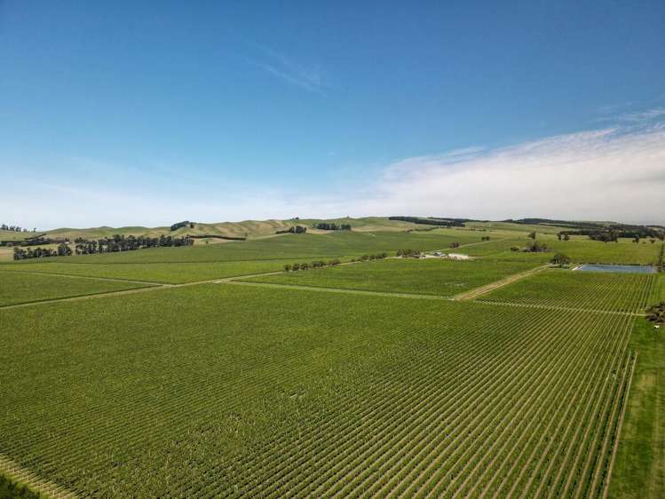 460 Glasnevin Road Amberley_7