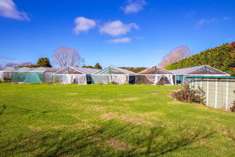 80 Omaha Flats Road Tawharanui Peninsula_15