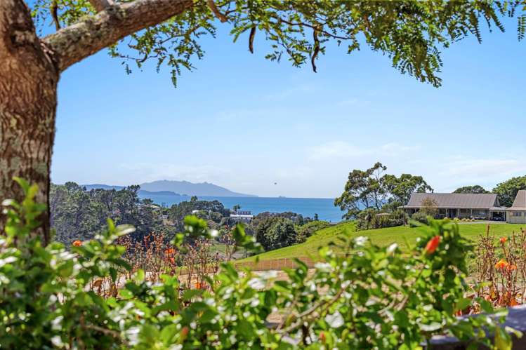 90 Cedar Terrace Stanmore Bay_6