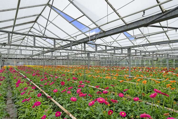 36A Horotane Valley Road Heathcote Valley_16