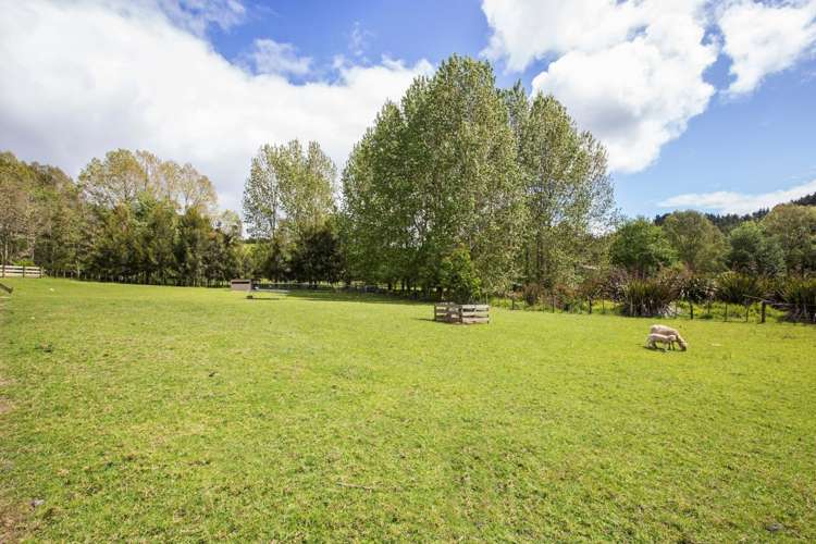 70 Linton Road Kaipara Flats_17