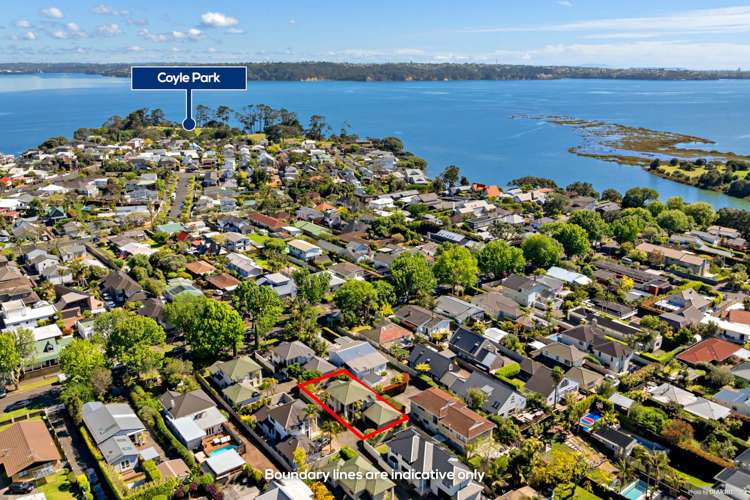 51B Dignan Street Pt Chevalier_22