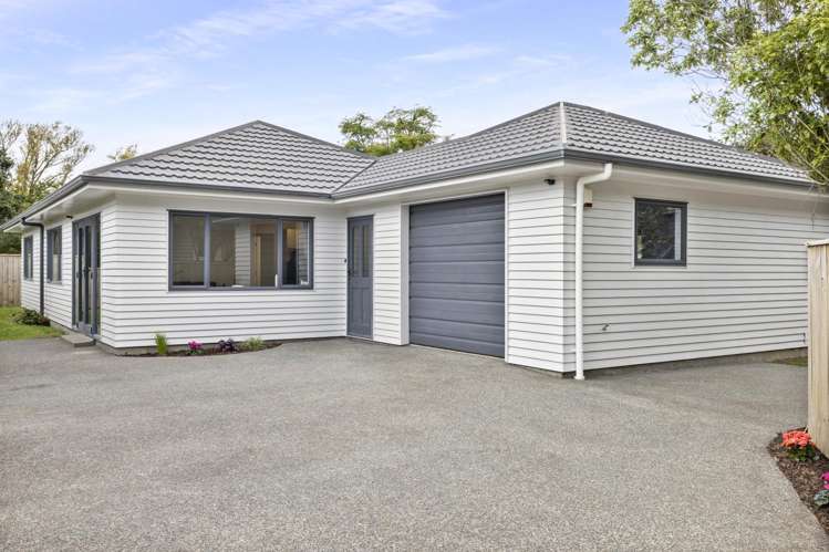 316A Main Road Tawa_19