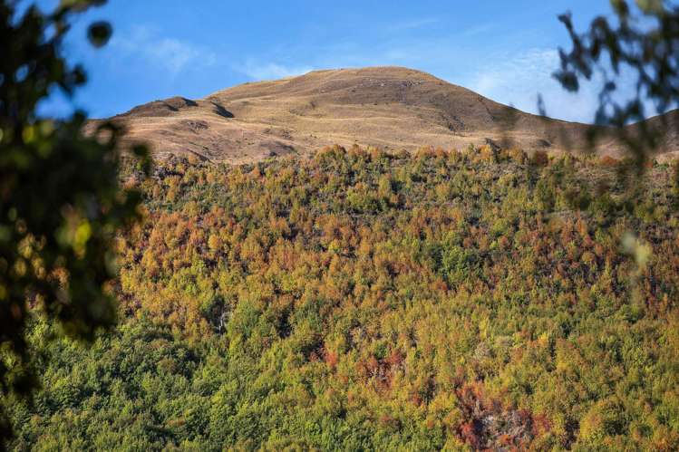 24 Thomson Street Arrowtown_29