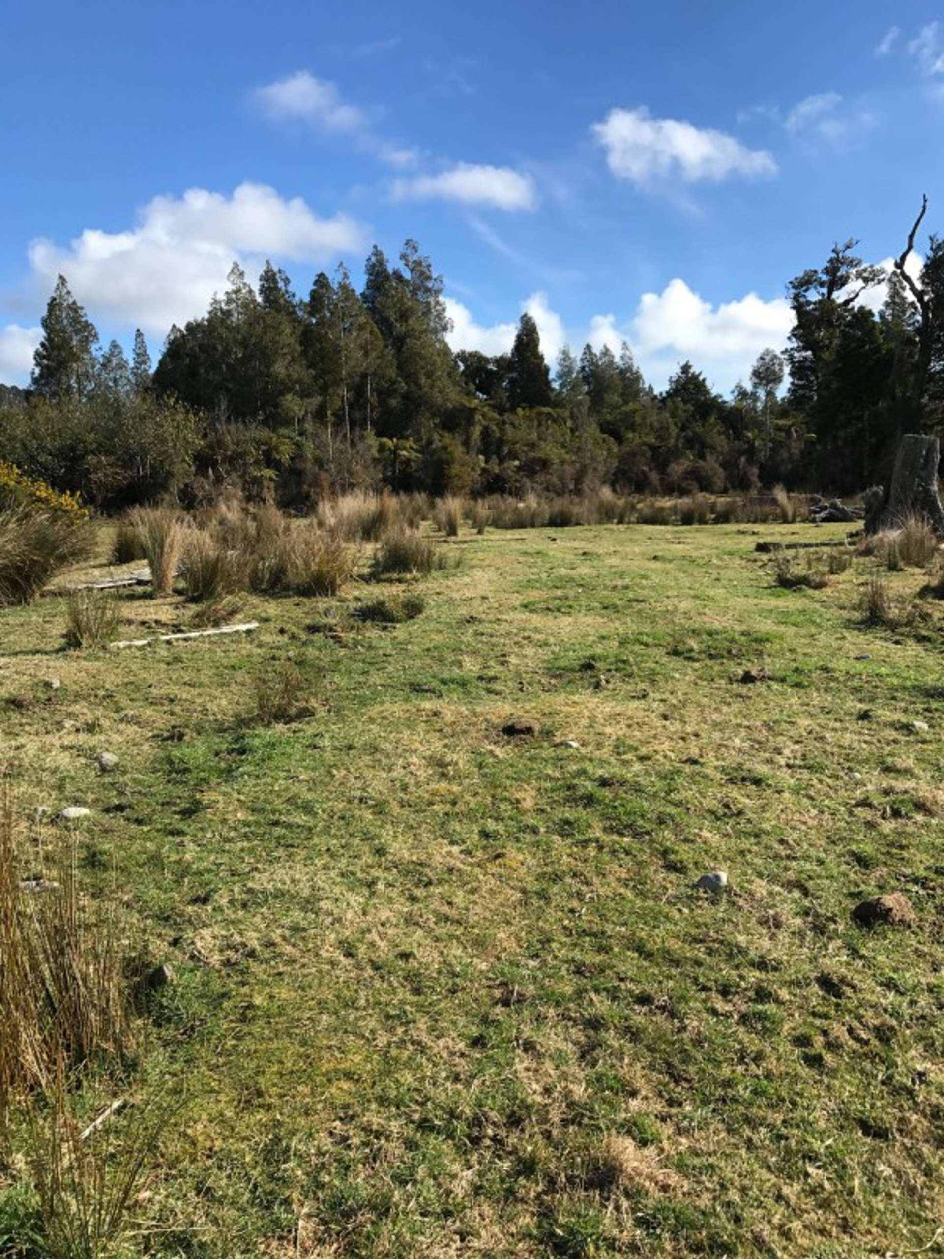 2864 Haast Highway Westland Area_0