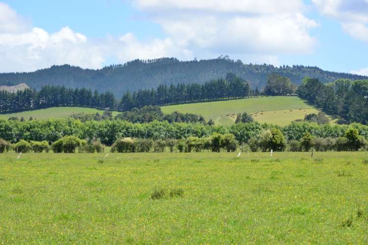 464 Woodcocks Road_0