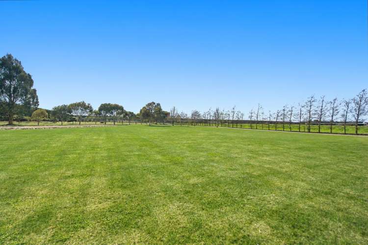 375 Sharlands Road Dunsandel_19