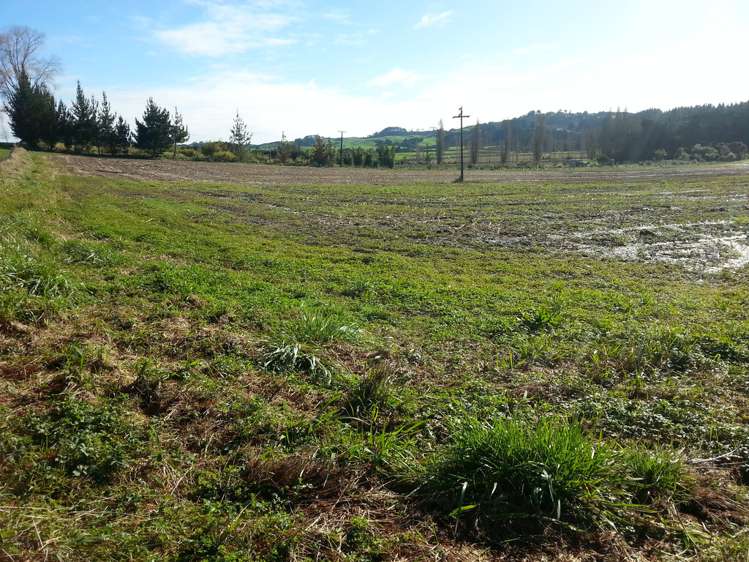 State Highway 12 Matakohe_2