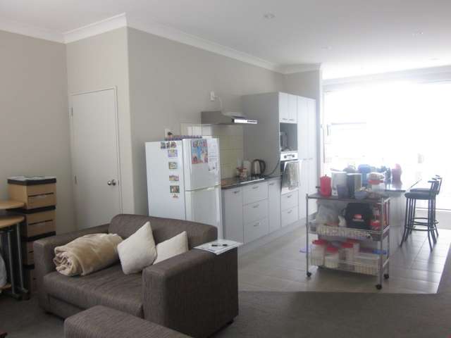 33 Manchester Drive Flat Bush_1