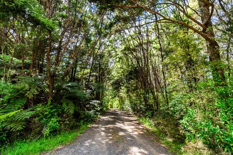 144 Waipoka Road Kiripaka_28