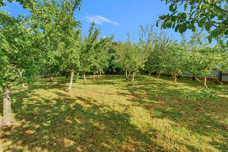 14C Smith Street Waimate_13