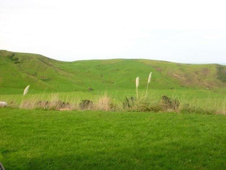 81 Wheatstone Road Wainui_12