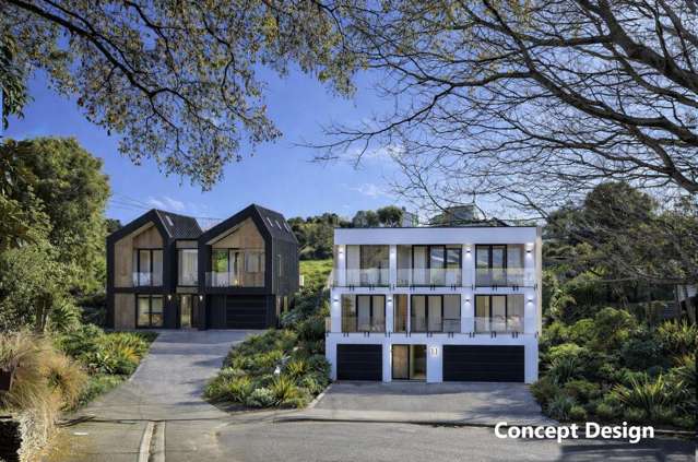 Dual Opportunity in the Heart of Māori Hill