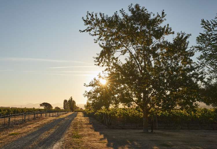 216 Bedford Road Renwick_25