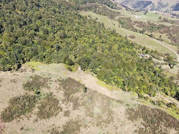 210A Goble Road Komata_46