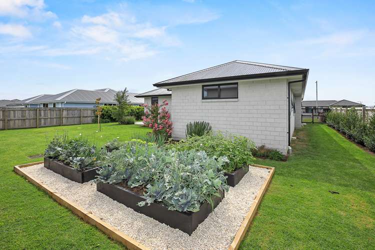 31 Costello Drive Ngatea_6