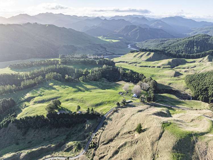 1015 Waitara Road Te Haroto_44