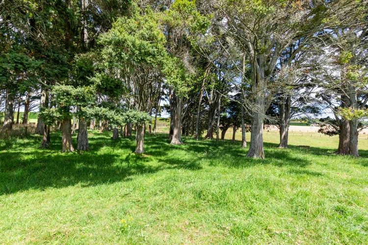 38a Geraghty Road Pukekawa_20