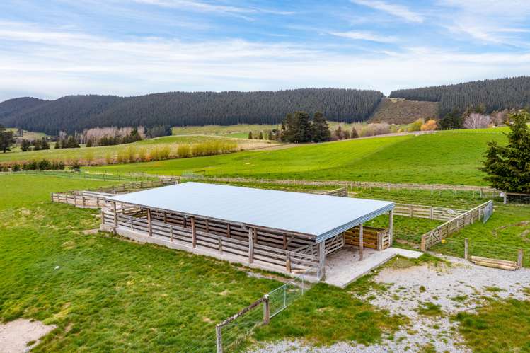 Wairiri Road Glentunnel_18