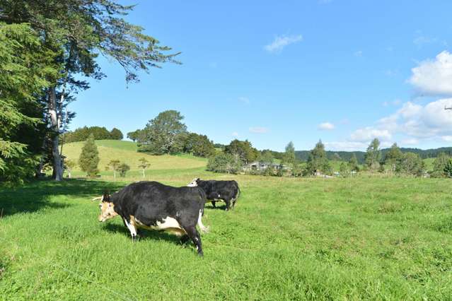 127 Mcbreen Road Hikurangi_1