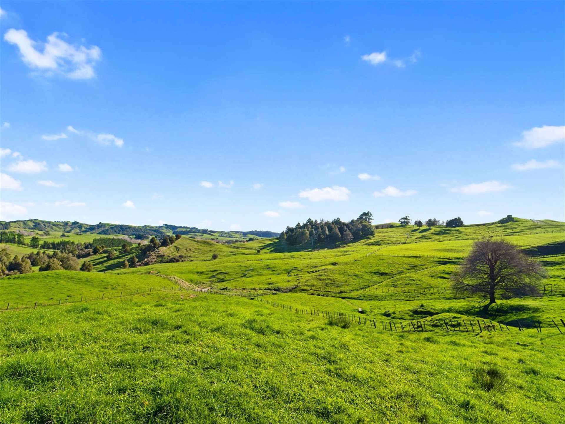 92 Adams Road Wainui_0