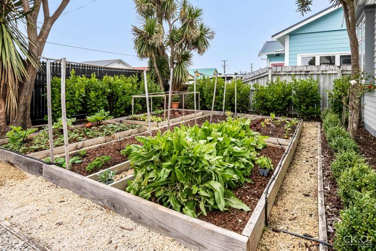 13 Plunket Avenue Petone_19