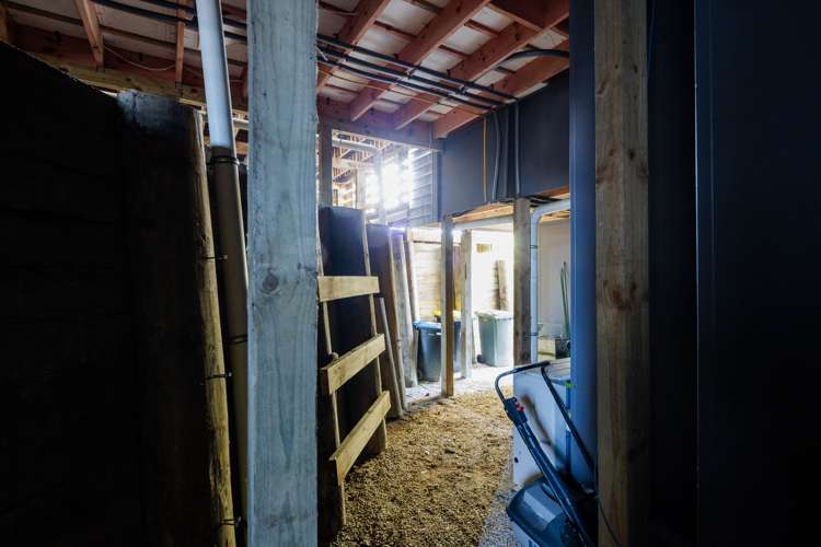 42 Williamson Street Cambridge_29