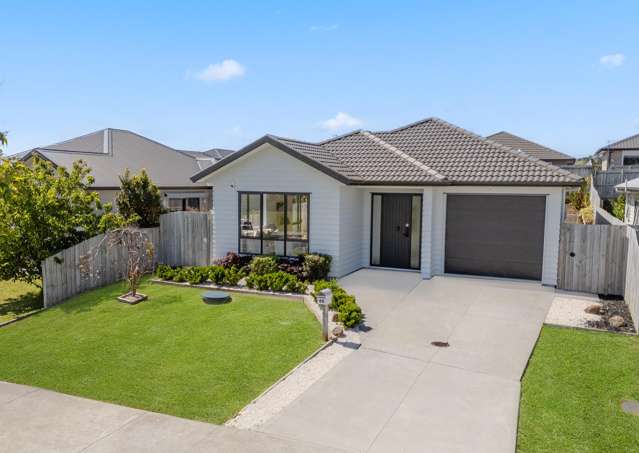 66 Belmont Road Pukekohe_2