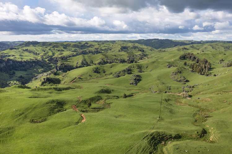 574 Mangaotaki Road Piopio_20