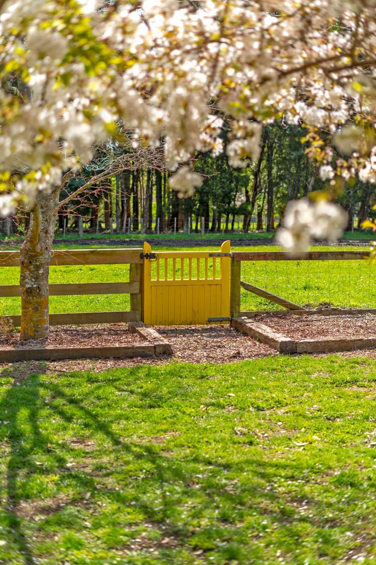 541 Upper Plain Road Upper Plain_9