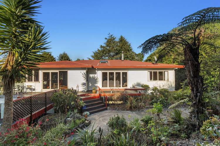 205 Mccarthys Road Waiotahe_20