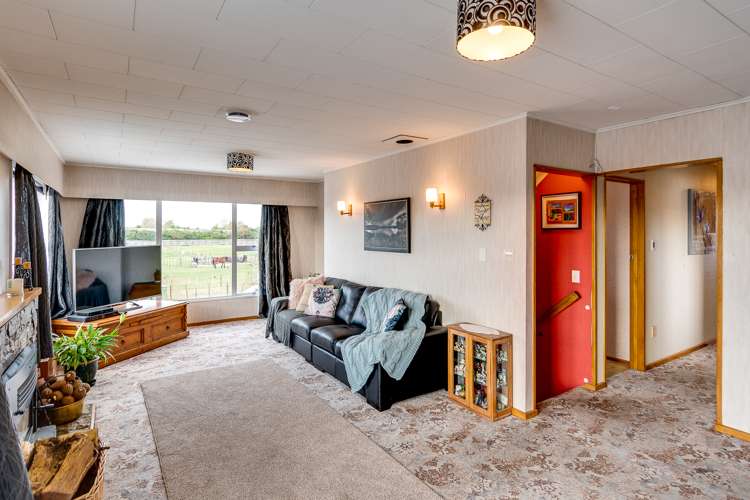 189 Guppy Road Taradale_5