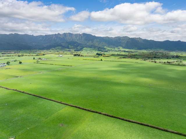 McKinley Road Te Aroha_3