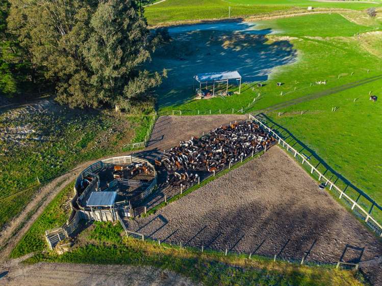 744 Motukaika Road Maungati_27