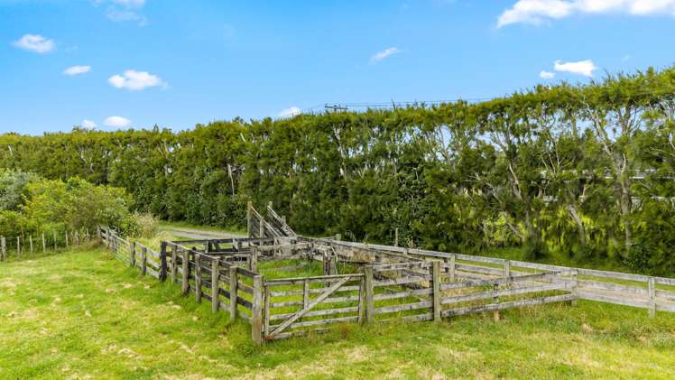 331 South Head Road, South Head Helensville_35