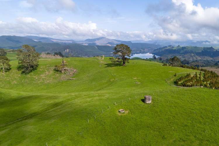 494B Dods Road Waikite Valley_10