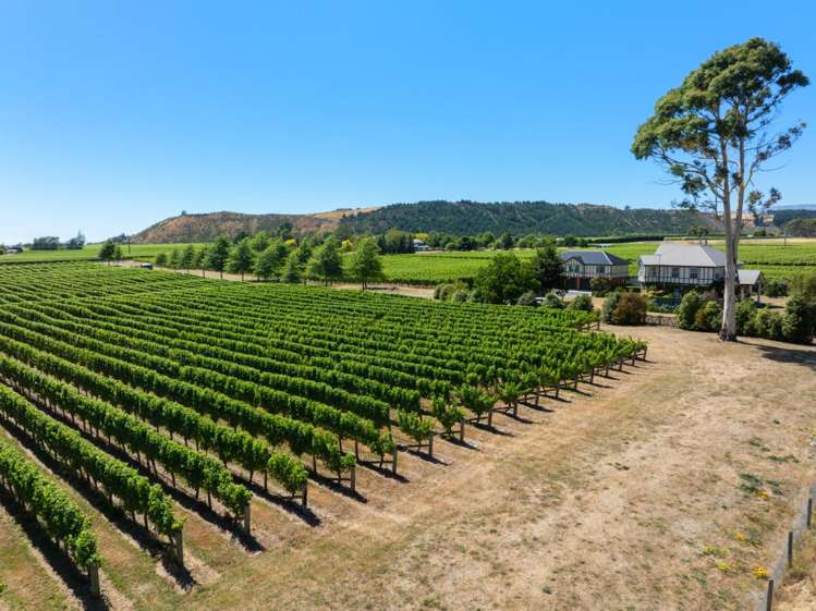 32 Guernsey Road_0