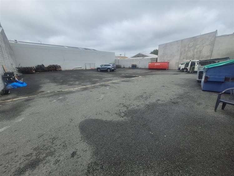 115 Orbell Street Sydenham_6