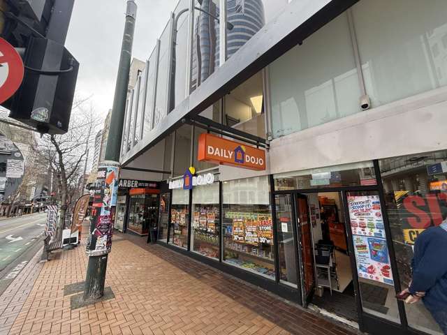 1/1 Manners Street Te Aro_3